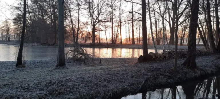 20240128_080048+-+Kopie